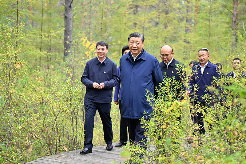 9月6日至8日，中共中央總書記、國家主席、中央軍委主席習(xí)近平在黑龍江考察。這是6日下午，習(xí)近平在大興安嶺地區(qū)漠河市漠河林場自然林區(qū)考察